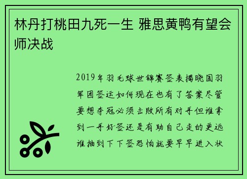 林丹打桃田九死一生 雅思黄鸭有望会师决战